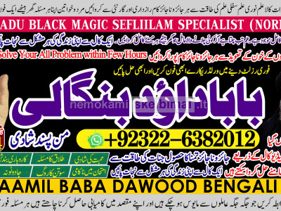 online istikhara for love marriage vashikaran specialist love problem solution astrologer B1