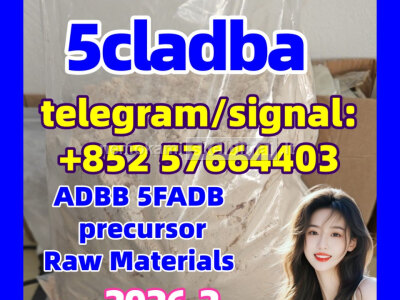 How U. S. Labs Choose 5CLADBA Precursors, Raw Materials And Powder In 2025