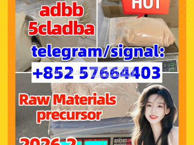 For sale - free sample 5cladba Yellow Cannabinoid Powder 5CLadbb 5fadb