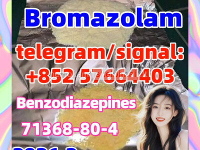 CAS. 71368 - 80 - 4 Bromazolam