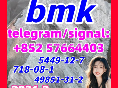 CAS 5449 - 12 - 7 Best Selling BMK Glycidic Acid sodium salt