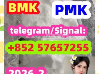 BMK pmk Glycidic Acid sodium salt CAS 5449 - 12 - 7