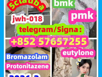 BMK Glycidic Acid sodium salt CAS 5449 - 12 - 7