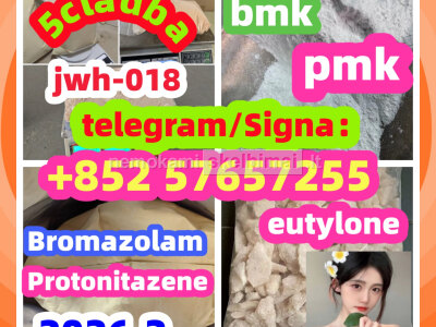 BMK Glycidic Acid sodium salt CAS 5449 - 12 - 7