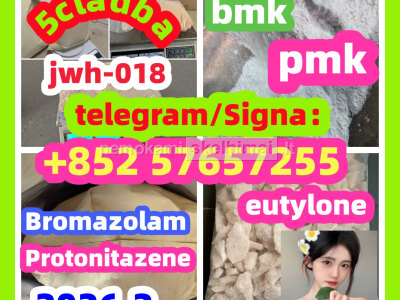 BMK Glycidic Acid sodium salt CAS 5449 - 12 - 7