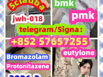 99 Purity Methylamine Hydrochloride Cas 5449 - 12 - 7