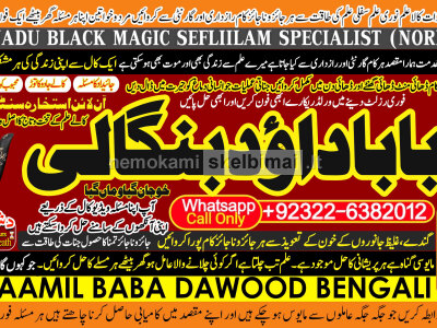 online istikhara for love marriage vashikaran specialist love problem solution astrologer B4