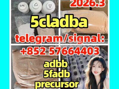 5cladba adbb raw material 5CL - ADB - A precursor raw 5cladba 5f adb 4fadb