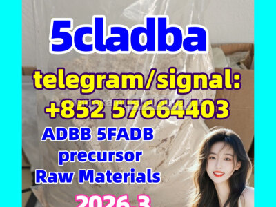 5cl - adb Powder Supplier 5cl Adb 5cladba In Stock at Best Price