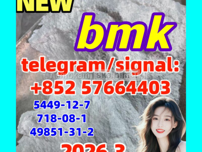 CAS 5449 - 12 - 7 BMK Glycidic Acid - bmk powder - factory supply