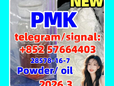Cas 28578 - 16 - 7 Pmk Ethyl Glycidate pmk Oil Cas 28578 - 16 - 7