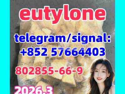 EU EUTYLONE high quality 802855 - 66 - 9