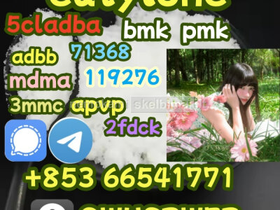 eutylone, mdma, 2fdck, cas 802855 - 66 - 9, 99 purity 853 66541771