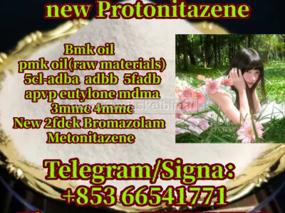 protonitazene, cas 119276 - 01 - 6, High concentrations 853 66541771