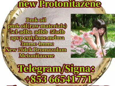 protonitazene, cas 119276 - 01 - 6, High purity 853 66541771