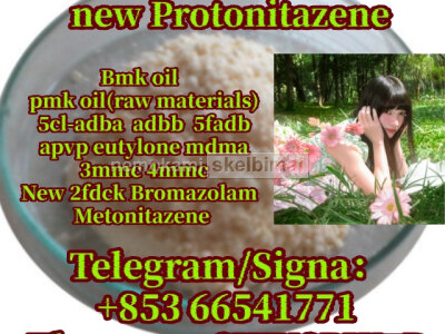 protonitazene, cas 119276 - 01 - 6, 99 purity 853 66541771