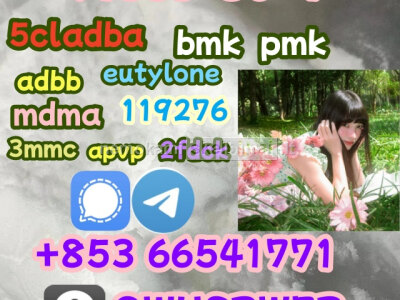 bromazolam, cas 71368 - 80 - 4, Free samples