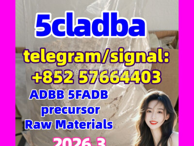5cladba raw material 5CL - ADB - A precursor raw 5cladba