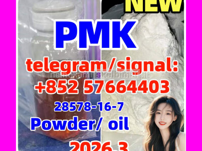Buy china PMK powder PMK oil CAS 28578 - 16 - 7 ethyl glycidate with best quality fast delivery