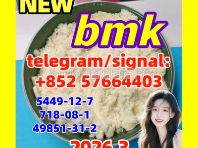 Bmk powder 5449 12 7 BMK Glycidic Acid sodium salt 99