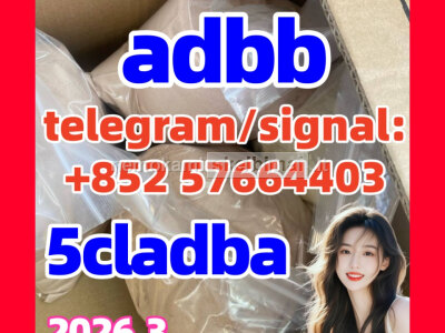 5cladba 5F - ADB ADBB 5cl - adb - a 5cladb reliable supplier