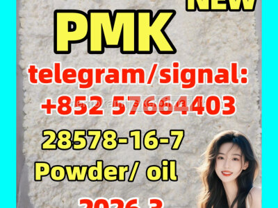 Where to Buy CAS No. 28578 - 16 - 7 PMK ethyl glycidate