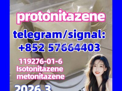 CAS 119276 - 01 - 6 Protonitazene hydrochloride opioid