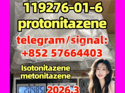 Protonitazene CAS 119276 - 01 - 6 opioid
