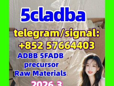 5cl - adb Powder Supplier 5cl Adb 5cladba In Stock at Best Price