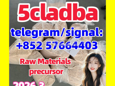 5cl - adb Powder Supplier 5cl Adb 5cladba In Stock at Best Price