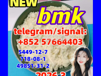 BMK Glycidic Acid sodium salt 99 Powder CAS 5449 - 12 - 7