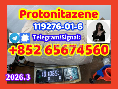 Protonitazene CAS 119276 - 01 - 6