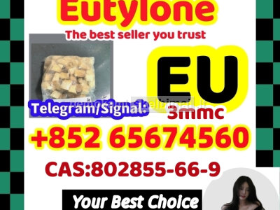 We factory supply EU