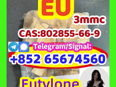 We factory supply EU