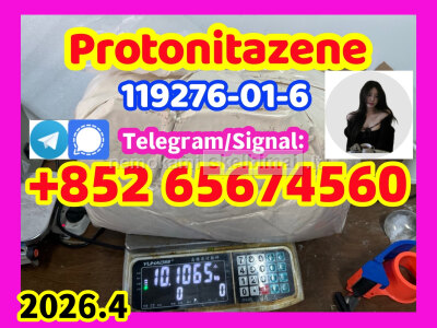 Protonitazene CAS 119276 - 01 - 6