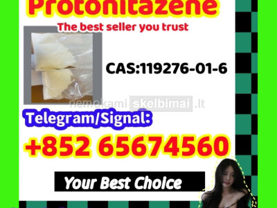 Protonitazene CAS 119276