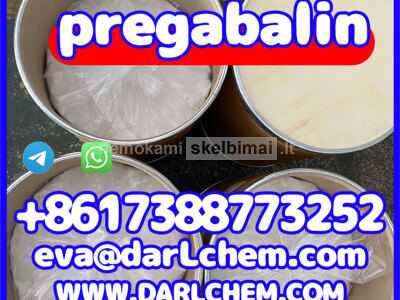 pregabalin powder CAS 148553 - 50 - 8 148553 - 50 - 8 Purity 99