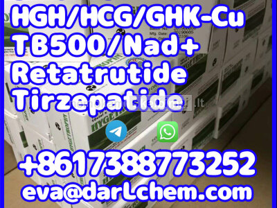 China Factoryoral Tirzepatide peptides Injections cas 2023788 - 19 - 2 Door to Door
