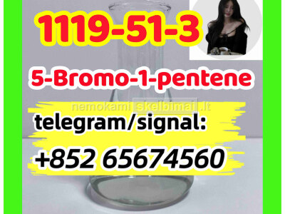 CAS 1119 - 51 - 3