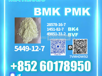 New BMK CAS 5449 - 12 - 7 industrial grade chemical