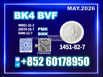 BK4 1451 - 82 - 7 Professional Export Team