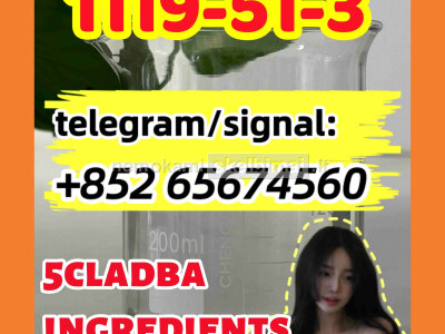 CAS 1119 - 51 - 3