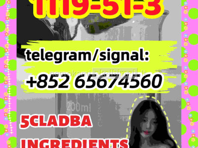 CAS 1119 - 51 - 3