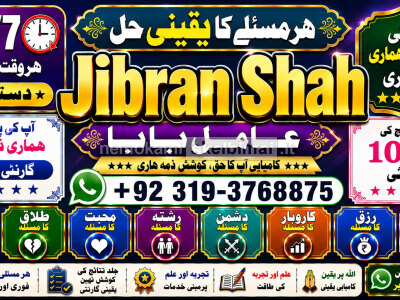 love problem solution specialist online love problem solution love marriage specialist F1