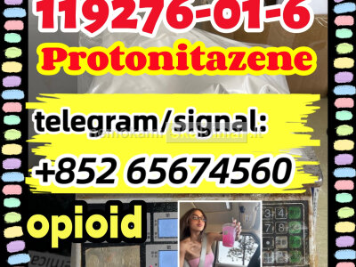 Protonitazene CAS 119276 - 01 - 6