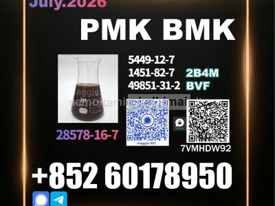CAS 28578 - 16 - 7 New PMK BMK reliable delivery