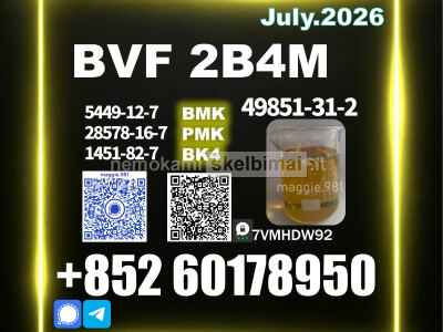 New Stock 49851 - 31 - 2 High Purity BVF oil BK4