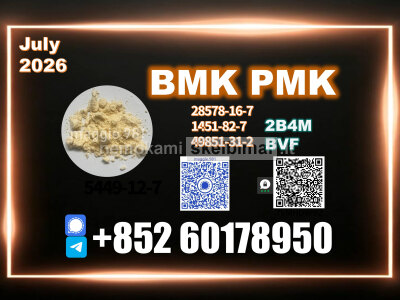 BMK CAS 5449 - 12 - 7 New PMK Smooth Shipping