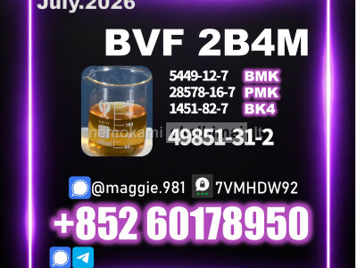 BVF CAS 49851 - 31 - 2 BK4 premium service