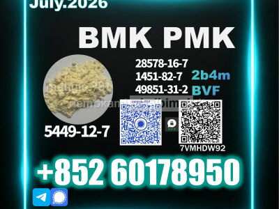 Premium supplier CAS 5449 - 12 - 7 New B. MK PM. K